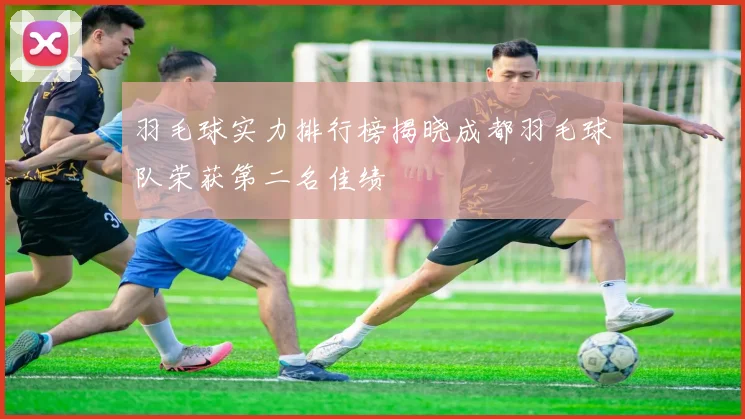 羽毛球实力排行榜揭晓成都羽毛球队荣获第二名佳绩