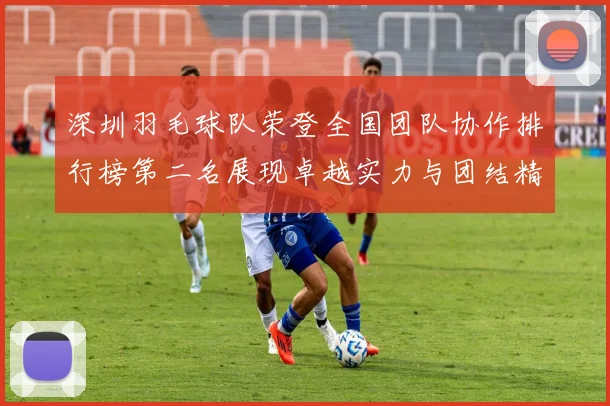 深圳羽毛球队荣登全国团队协作排行榜第二名展现卓越实力与团结精神