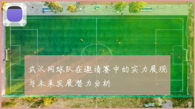武汉网球队在邀请赛中的实力展现与未来发展潜力分析