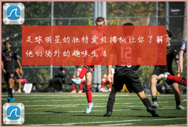 足球明星的独特爱好揭秘让你了解他们场外的趣味生活