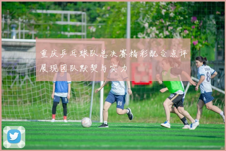 重庆乒乓球队总决赛精彩配合点评展现团队默契与实力