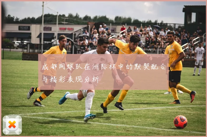 成都网球队在洲际杯中的默契配合与精彩表现分析