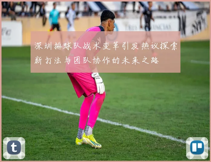 深圳排球队战术变革引发热议探索新打法与团队协作的未来之路