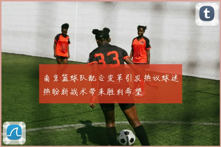 南京篮球队配合变革引发热议球迷热盼新战术带来胜利希望
