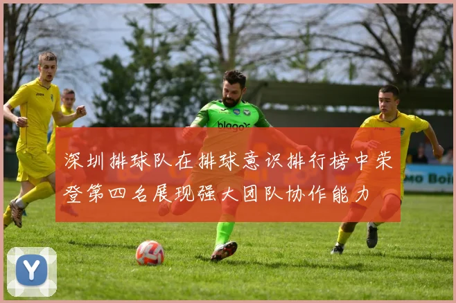 深圳排球队在排球意识排行榜中荣登第四名展现强大团队协作能力