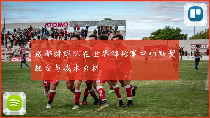 成都排球队在世界锦标赛中的默契配合与战术分析