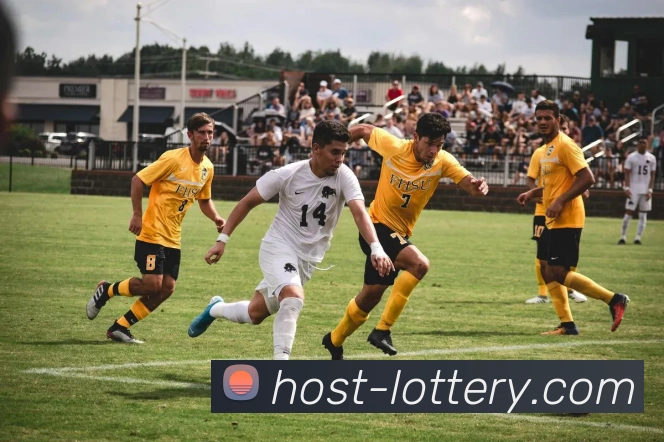 大乐透查询APP 高清赛事图